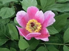 みっちゃん様 リクエスト 3点 まとめ商品 - メルカリ