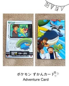 ポケモン ずかんカード アドバンスジェネレーション ハスボー タケシ