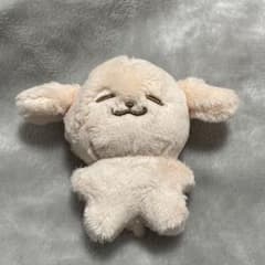 NCT dream ジェノ ぬいぐるみ ポケジェン 10cm マスター - メルカリ