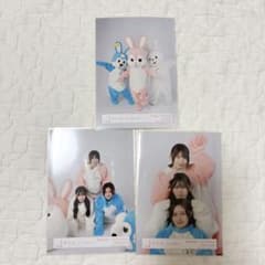 櫻坂46 見つけて櫻坂うさぎ 生写真 3枚 - メルカリ