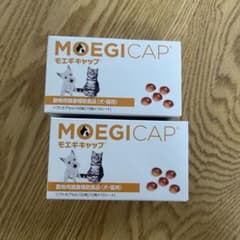 MOEGICAP モエギキャップ　170カプセルのサムネイル