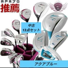 WORLD EAGLE FL-01★V2 井戸木プロ推薦　10本レディースセットのサムネイル
