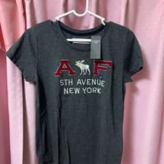 アバクロ Tシャツ 新品未使用のサムネイル