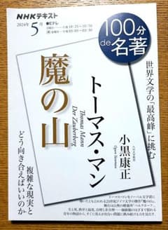 NHKテキスト 100分de名著 魔の山 トーマス・マンのサムネイル