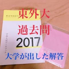 東京外国語大学　過去問＊解答2017のサムネイル