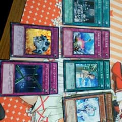 けんぞう様　専用のサムネイル
