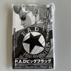 PAD 큰 플래그 닫기