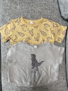 サイズ違い 恐竜　Tシャツ 2枚セットのサムネイル