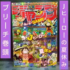 m69496425561_1.jpg?1689408804