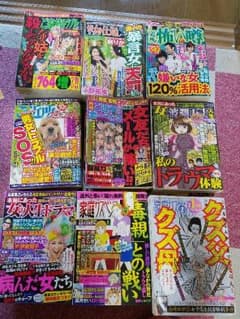 レディコミ♥ドロドロ系♥27冊♥まとめ売りのサムネイル