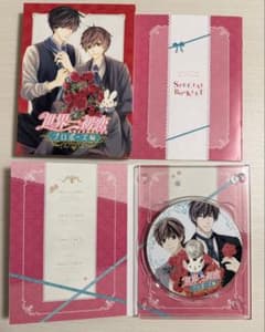 世界一初恋 プロポーズ編 Blu-rayのサムネイル