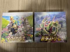ポチャ様専用　蒼空ストリーム&イーブイヒーローズのサムネイル