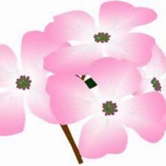 かじー☆様専用のサムネイル