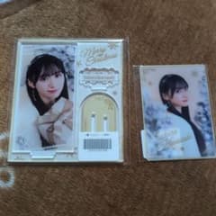 노기자카46 노기박스 NOGI's Holy Christmas 가와사키 벚꽃