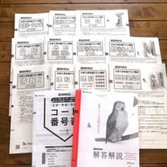 2026年度 ベネッセ 進研模試・大学入学共通テスト模試/高3生・高卒生