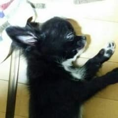 返金ページですのサムネイル