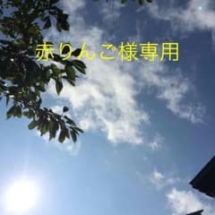 ナノプレのサムネイル