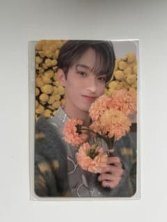 ドギョム トレカ SEVENTEEN セブチ your choiceのサムネイル
