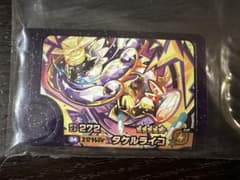 ポケモンフレンダ　タケルライコのサムネイル