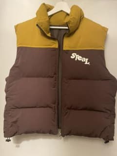 steal meaning ダウンベストのサムネイル