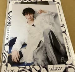 龍宮城 SHIBAI PREMIUM PHOTO Rayのサムネイル