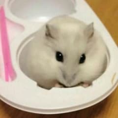 なめこ様専用です✨のサムネイル