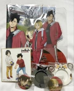 하이큐!! 쓰레기 버려진 장소의 결전 TOHO animation STORE 특전