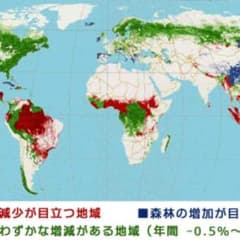 べんきゅうのサムネイル