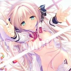 ichigo様専用 オトメ＊ドメイン ソフマップ特典タペストリーのサムネイル