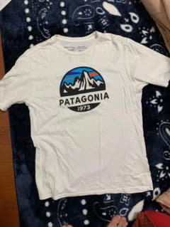patagonia パタゴニア Tシャツのサムネイル