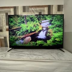 全国送料込❣️ティーズネットワーク58型4k液晶テレビWチューナー新品リモコン付 全国送料込❣️ティーズネットワーク58型4k液晶テレビWチューナー新品