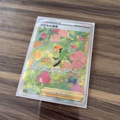 ポケモンカード　ナタネの活気　SARのサムネイル