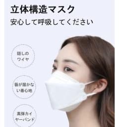個包装 不織布 立体マスクのサムネイル