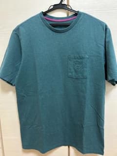 パタゴニア ポケット付き Tシャツ グリーン