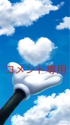 こちらはコメント専用ページです コメント専用ページです - メルカリ