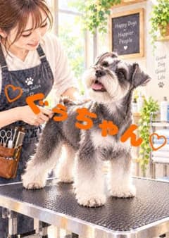 《一点限り》ミニチュアシュナウザー トリミング 犬 - 2