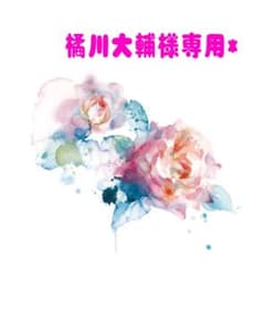 ＊ 橘川大輔様 専用 ＊のサムネイル