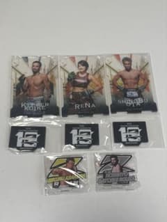 RIZIN アクリルスタンドのサムネイル