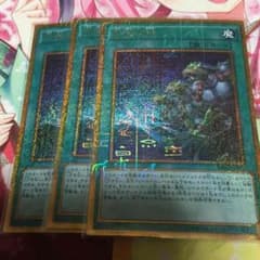 遊戯王 同胞の絆 3枚セットのサムネイル