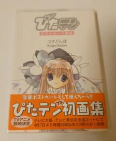 ぴたテン　トレーディングカード ぴたテン カード 紫亜 - メルカリ