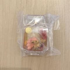ポケモンプチフルールのサムネイル