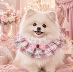 【犬猫用】フリルレース つけ襟 ペット用アクセサリー 首輪 リボン撮影会 誕生日のサムネイル