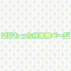 ナースポーチ　オーガナイザー　ソフトペンケース　移動ポケット　ラミネート生地のサムネイル