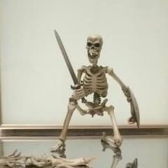 リボルテック骸骨剣士のサムネイル