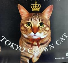 ねこ◎プロフ必読、更新(追記有り)ページ ねこ◎プロフ必読、更新(追記有り)様用 その② ねこ◎プロフ必読、更新
