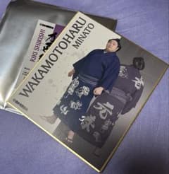 大相撲 力色紙Vol.5 【若元春】 - メルカリ