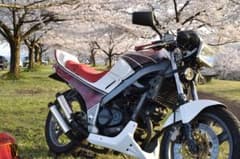 VTZ250 ツインマフラー　2本出し　デュアルマフラー　ワンオフのサムネイル