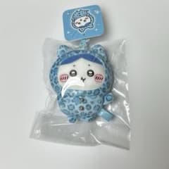 치이카와 돈키