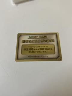 ボートレースカード2026 ラッキーカード m69655095379_1.jpg?1782019580
