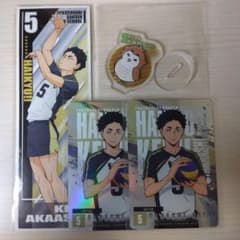 m69656800255_1.jpg?1711976535